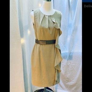 Calvin Klein Dress, Ruffle, Faux Snake Belt, Sz 8